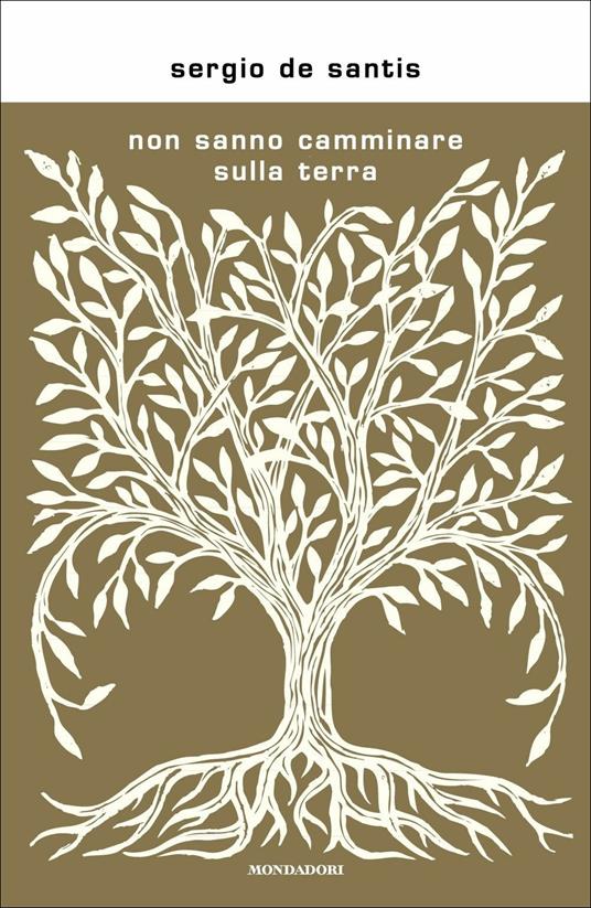 Non sanno camminare sulla terra - Sergio De Santis - copertina