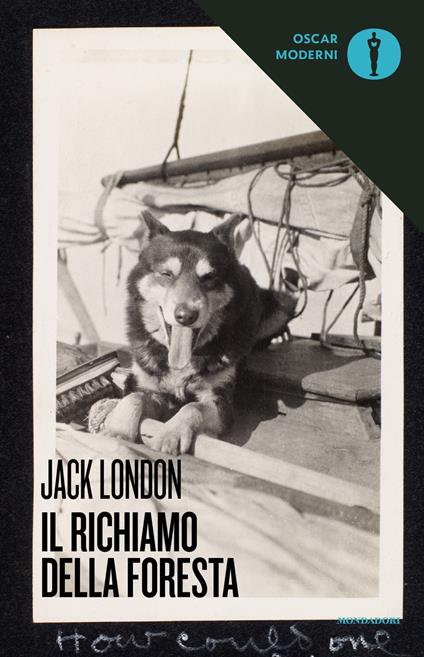 Il richiamo della foresta - Jack London - copertina