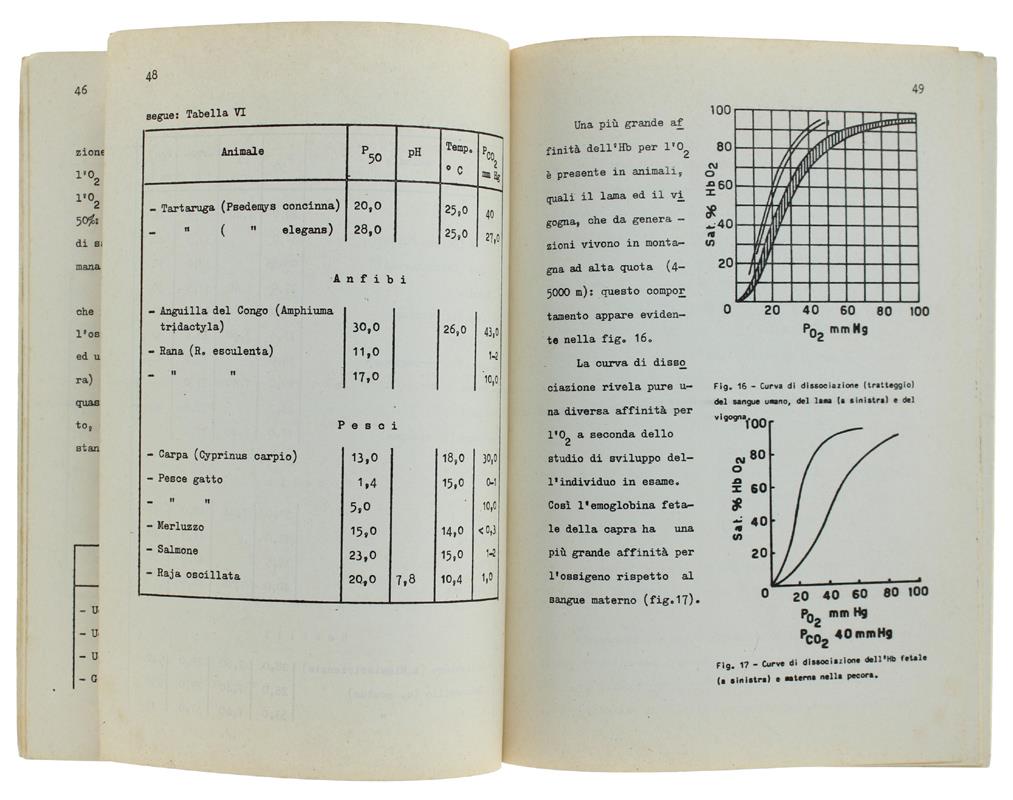 Storia segreta della 'ndrangheta. Una lunga e oscura vicenda di sangue e potere (1860-2018)