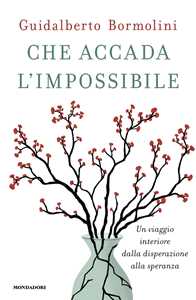 Libro Che accada l'impossibile. Un viaggio interiore dalla disperazione alla speranza Guidalberto Bormolini