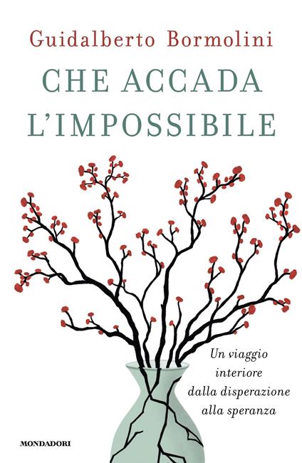 Che accada l'impossibile. Un viaggio interiore dalla disperazione alla speranza - Guidalberto Bormolini - copertina