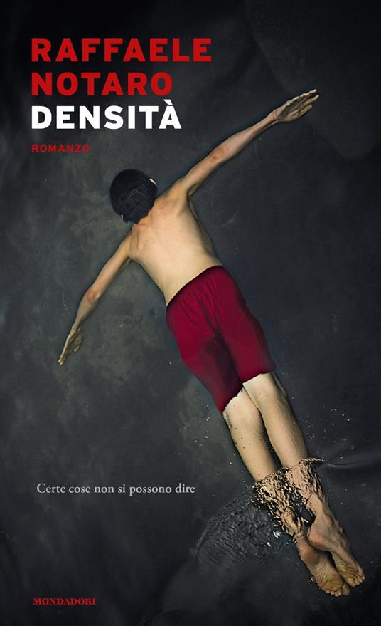 Densità - Raffaele Notaro - copertina