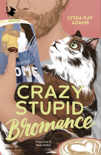 Crazy Stupid Bromance. Ediz. italiana - Lyssa Kay Adams - copertina
