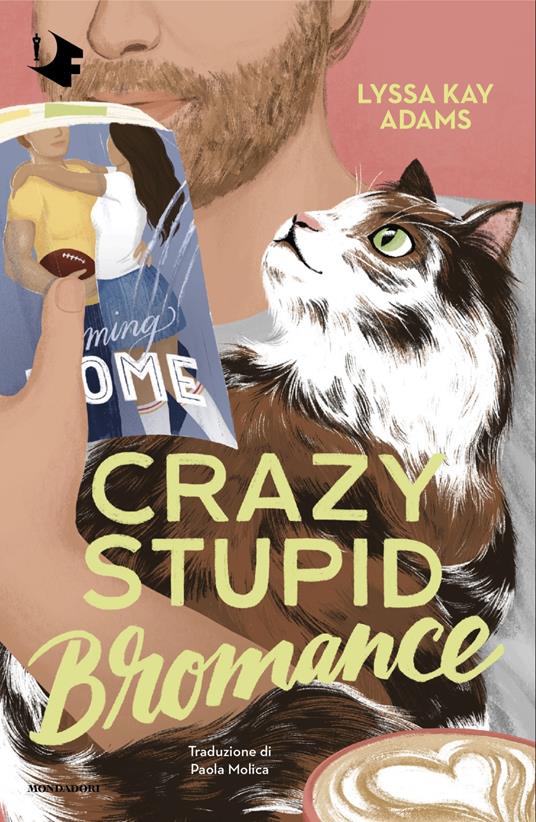 Crazy Stupid Bromance. Ediz. italiana - Lyssa Kay Adams - copertina