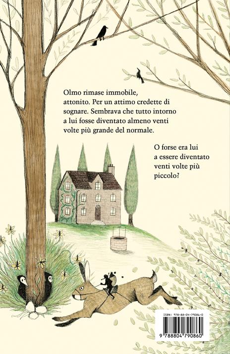 Piccolo mondo nascosto - Rocco Zilli - 2