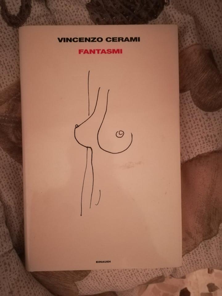 Librisaggi