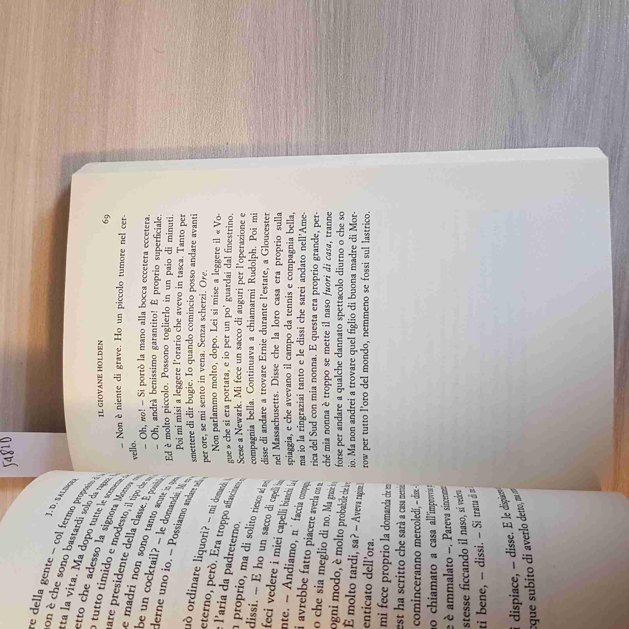 Il giovane Holden