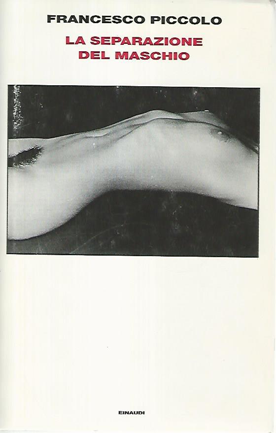 Librisaggi