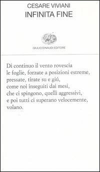 Infinita fine - Cesare Viviani - copertina