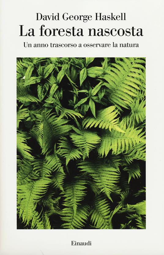 La foresta nascosta. Un anno trascorso a osservare la natura - David George Haskell - copertina