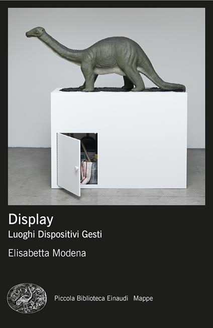 Display. Luoghi, dispositivi, gesti - Elisabetta Modena - copertina