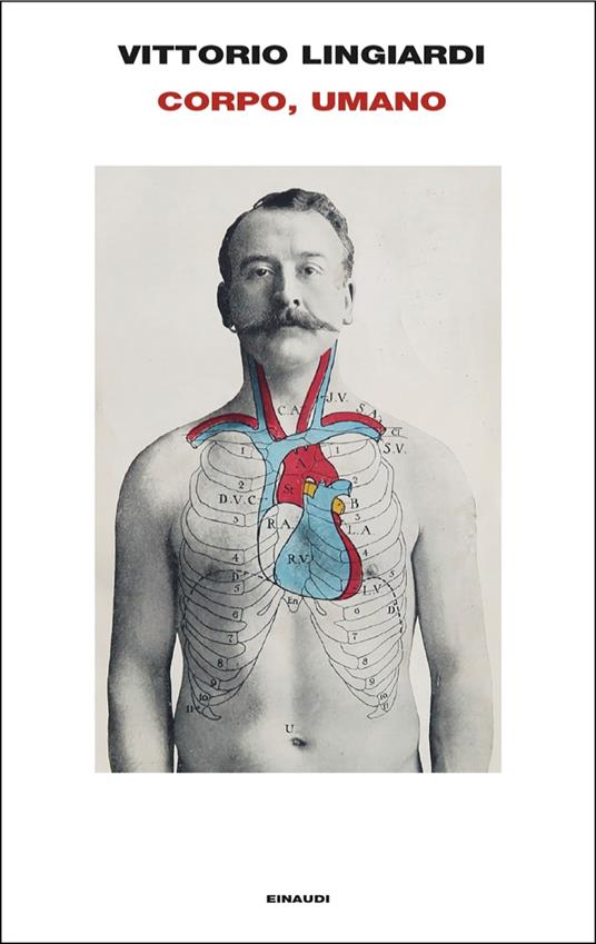 Corpo, umano - Vittorio Lingiardi - copertina