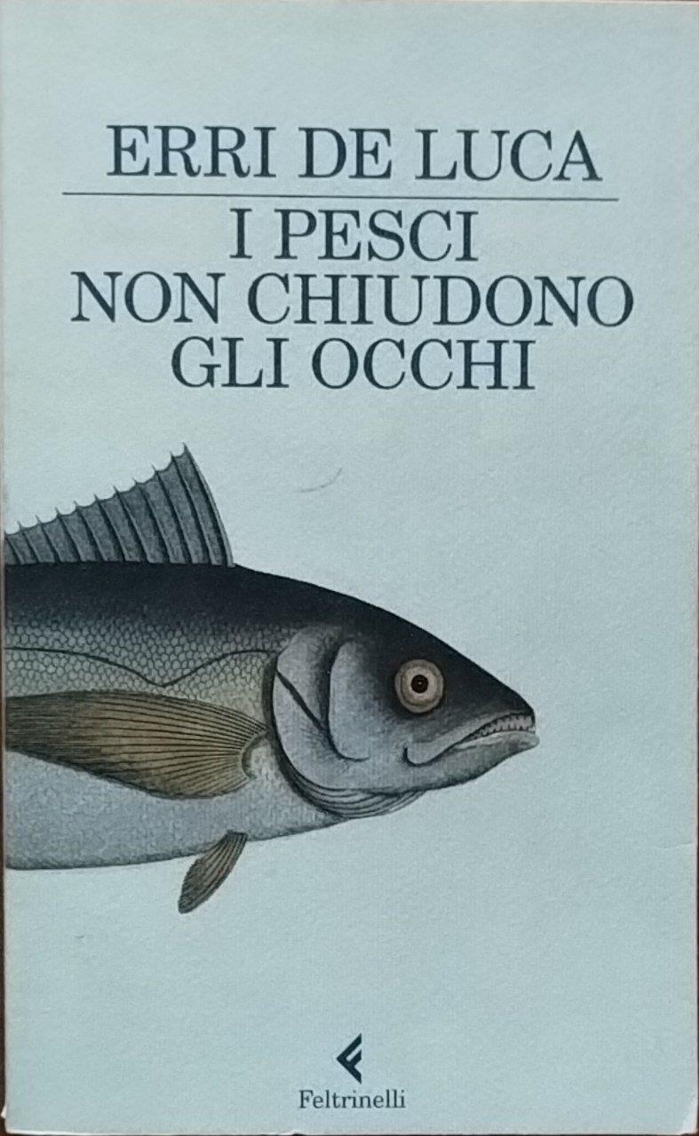 Librisaggi