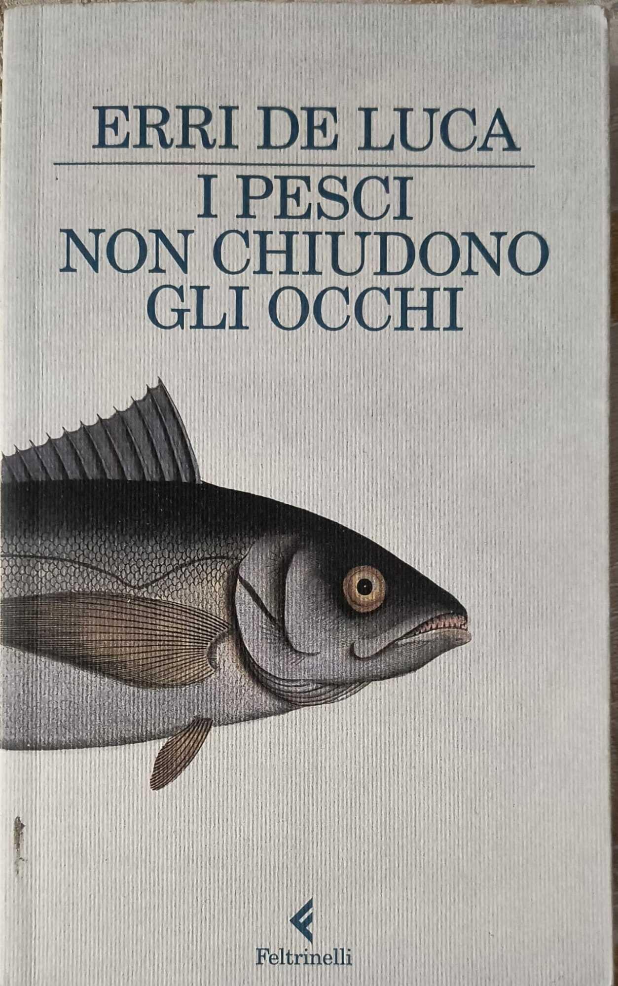 Librisaggi