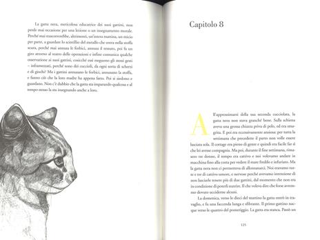 Gatti molto speciali - Doris Lessing - 5