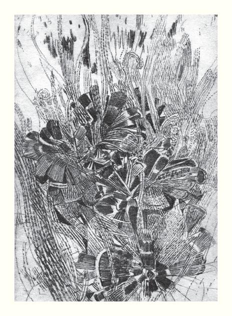 Il filo infinito. Ediz. ampliata - Paolo Rumiz - 8