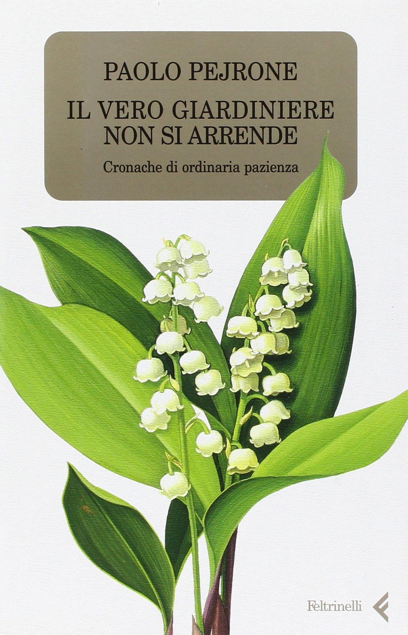 Libreria Serendipity