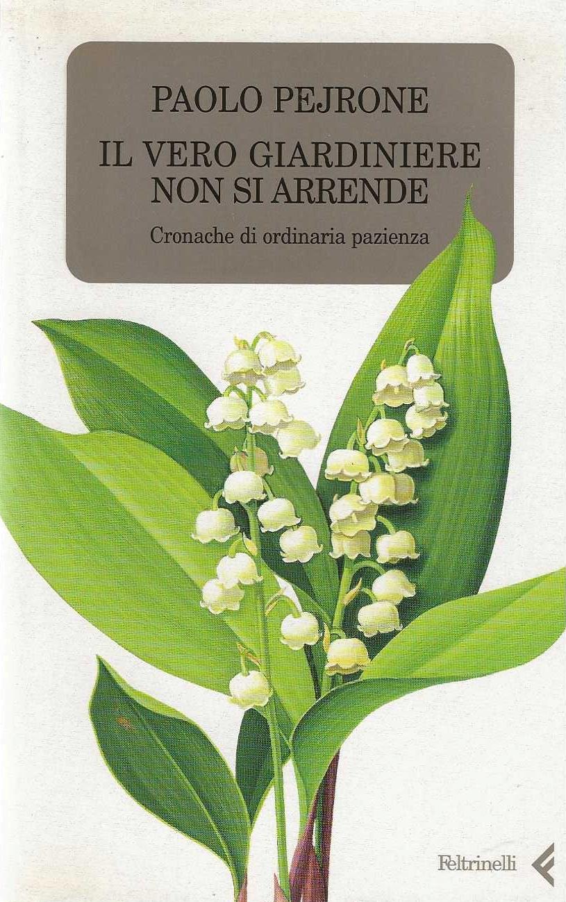 Le Case di Carta