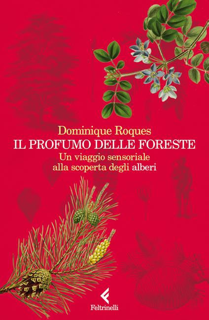 Il profumo delle foreste. Un viaggio sensoriale alla scoperta degli alberi - Dominique Roques - copertina
