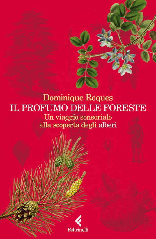 Il profumo delle foreste. Un viaggio sensoriale alla scoperta degli alberi - Dominique Roques - copertina