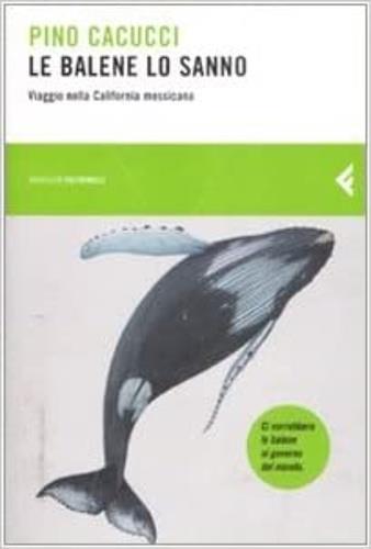 Le balene lo sanno. Viaggio nella California messicana - Pino Cacucci - 3