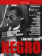 I am  not your negro