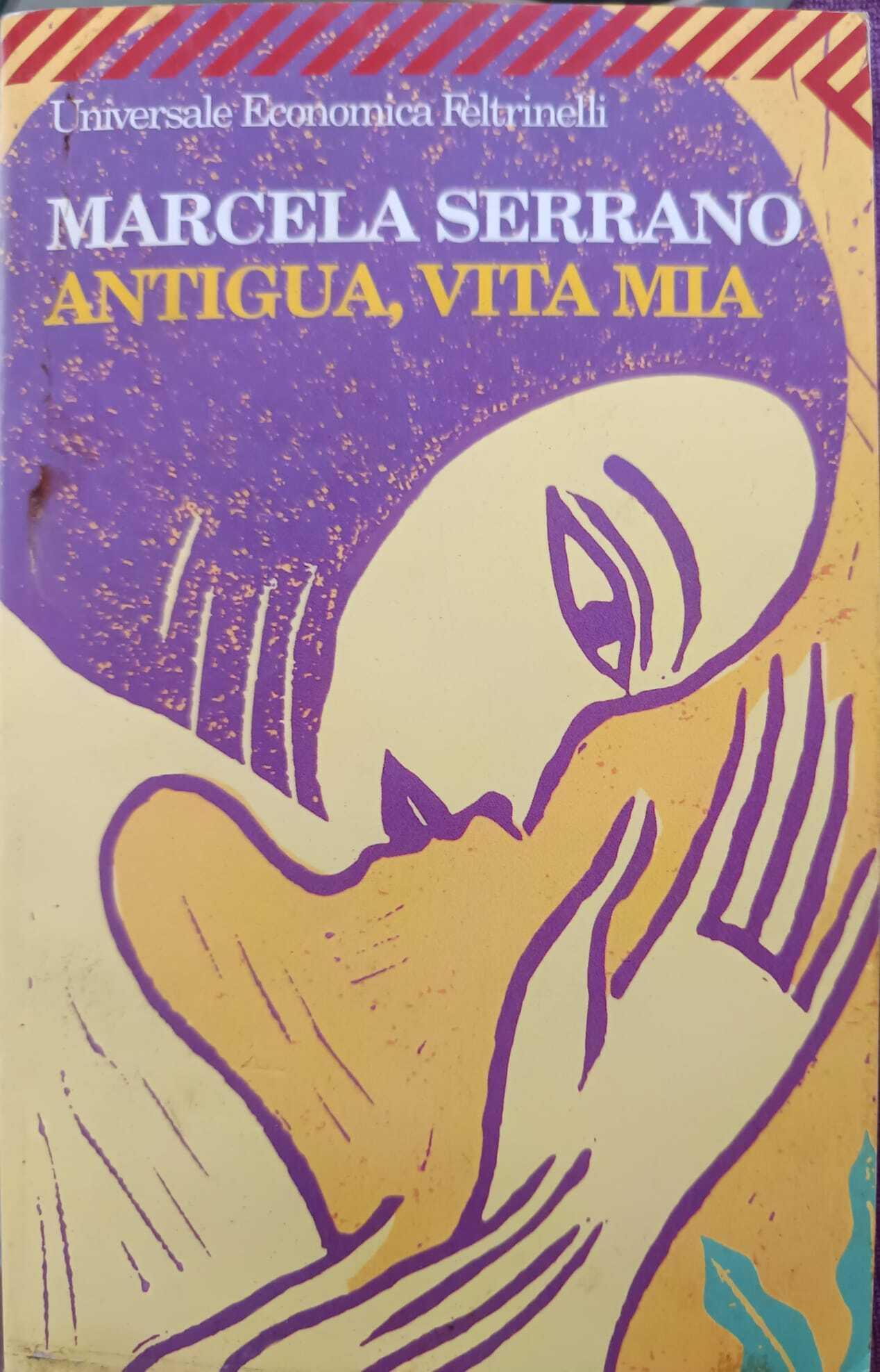 Librisaggi