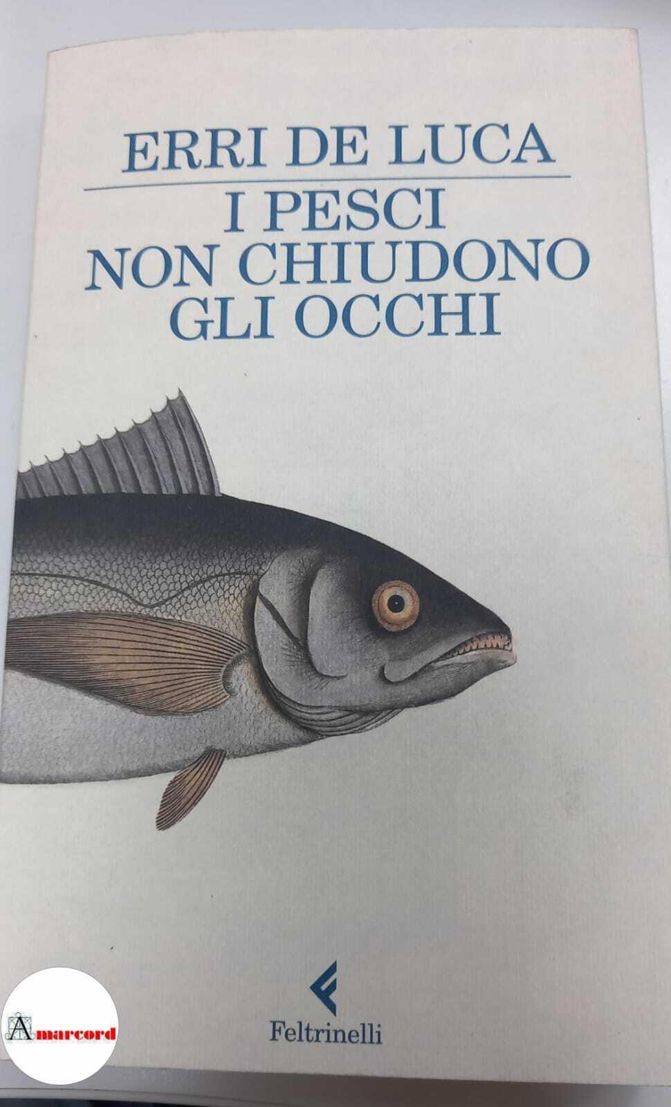 Amarcord Libri