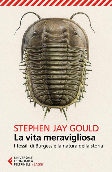 La vita meravigliosa. I fossili di Burgess e la natura della storia - Stephen Jay Gould - copertina