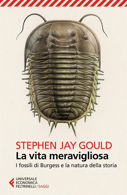 La vita meravigliosa. I fossili di Burgess e la natura della storia - Stephen Jay Gould - copertina