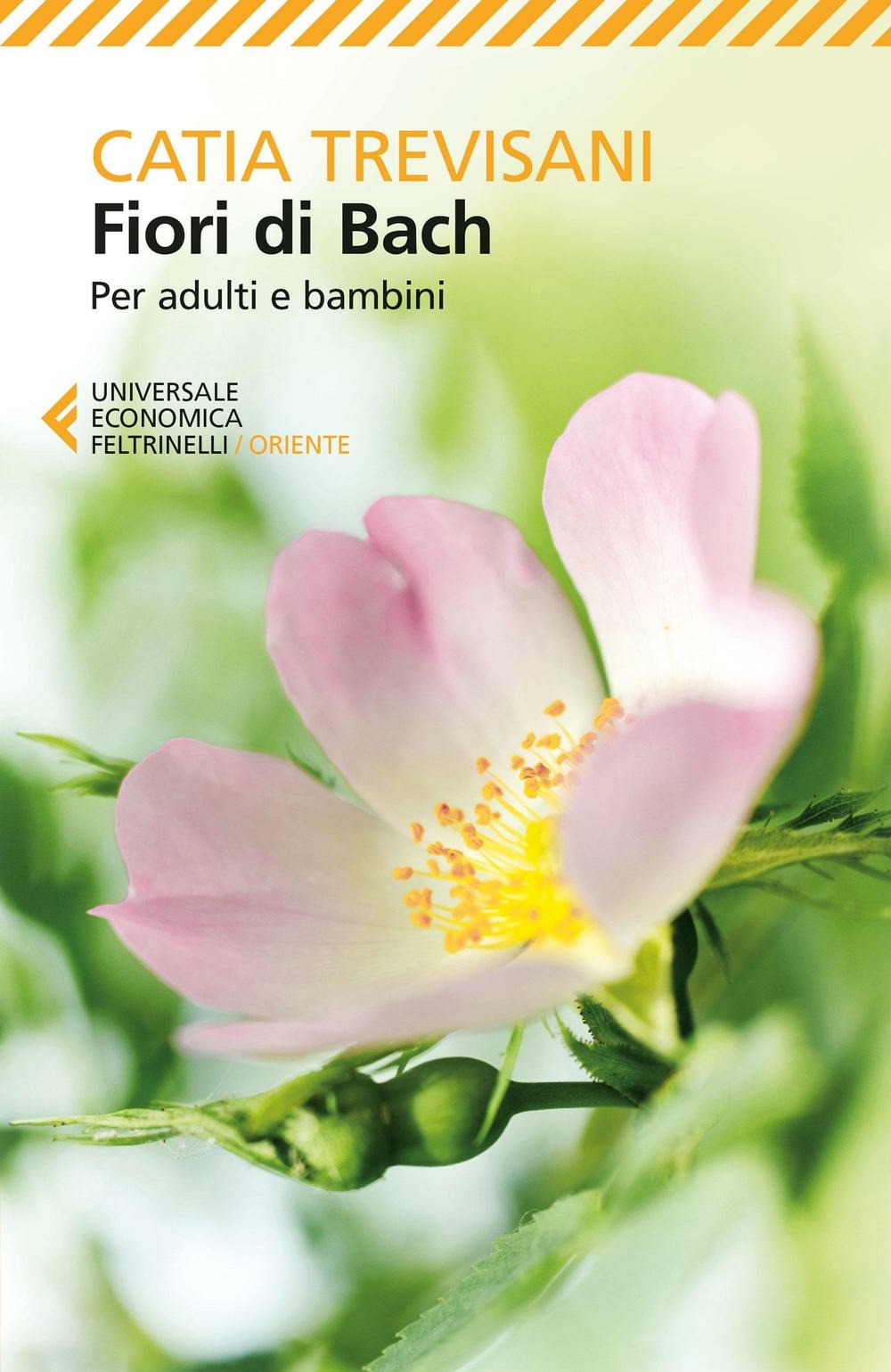 Zuckerman Libri