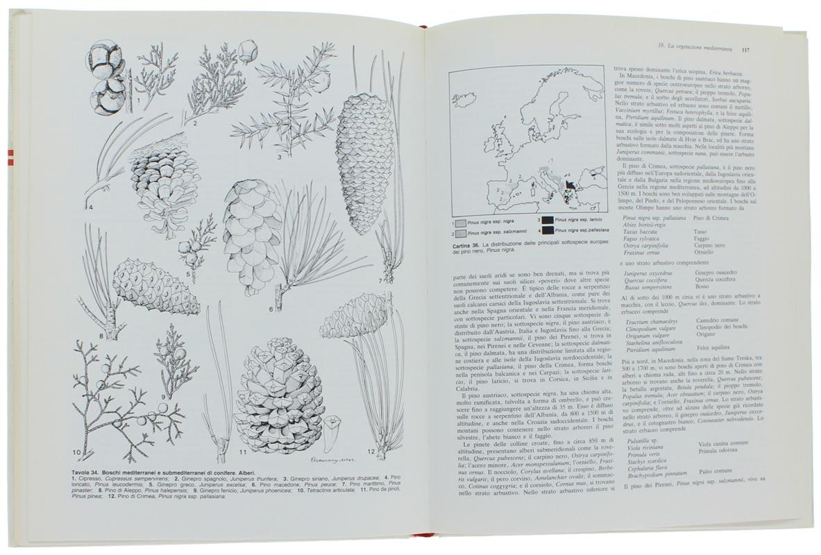 Guida alle vegetazioni d'Europa. Comunità vegetali e specie singole. Aree di distribuzione geografica. Parchi nazionali. Glossario dei termini specialistici...