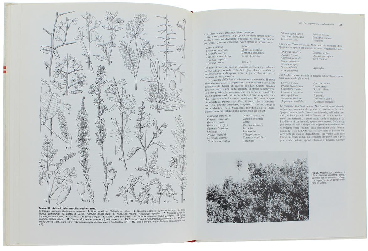 Guida alle vegetazioni d'Europa. Comunità vegetali e specie singole. Aree di distribuzione geografica. Parchi nazionali. Glossario dei termini specialistici...