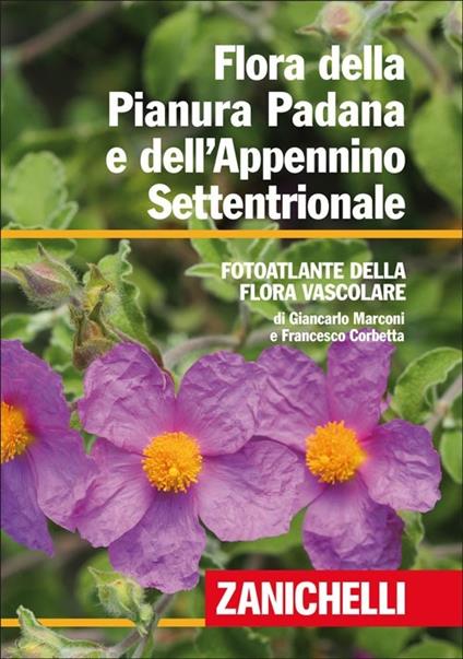 Flora della Pianura Padana e dell'Appennino Settentrionale. Foto atlante della Flora vascolare - Giancarlo Marconi,Francesco Corbetta - copertina