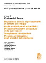 Art. 737-795. Disposizioni comuni ai procedimenti in camera di consiglio. Copia e collazione di atti pubblici. Procedimenti relativi all'apertura delle successioni...