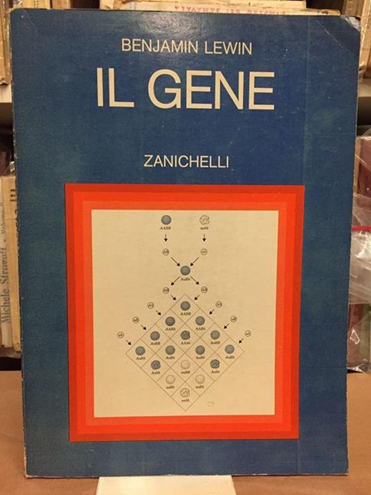 Il gene X - 2