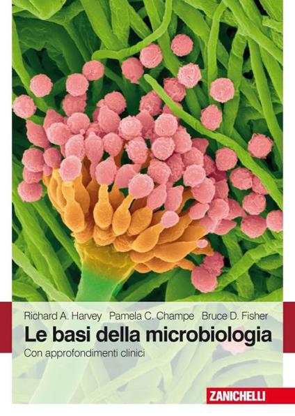 Le basi della microbiologia. Con approfondimenti clinici - Richard D. Fisher,Richard Harvey,Pamela C. Champe - copertina