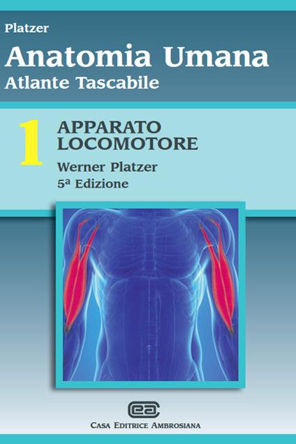 Atlante tascabile di anatomia umana. Vol. 1: Apparato locomotore - Werner Platzer - copertina