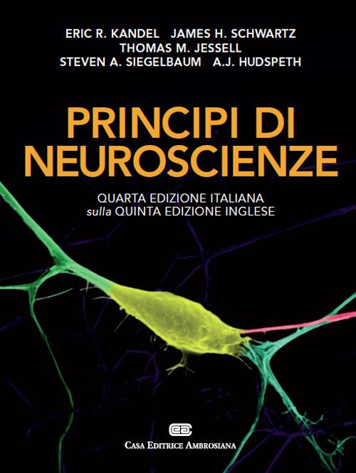 Principi di neuroscienze - Eric R. Kandel,James H. Schwartz,Thomas M. Jessell - copertina