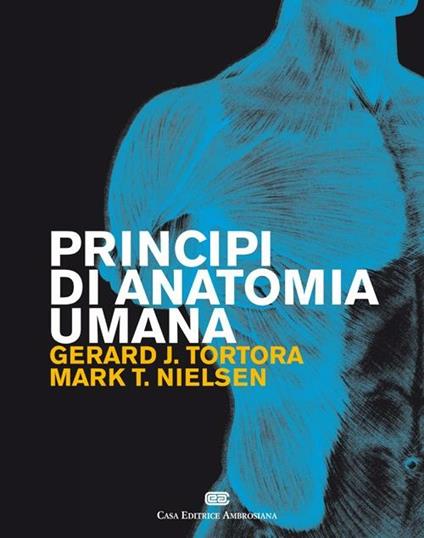 Principi di anatomia umana - Gerard J. Tortora,Mark T. Nielsen - copertina