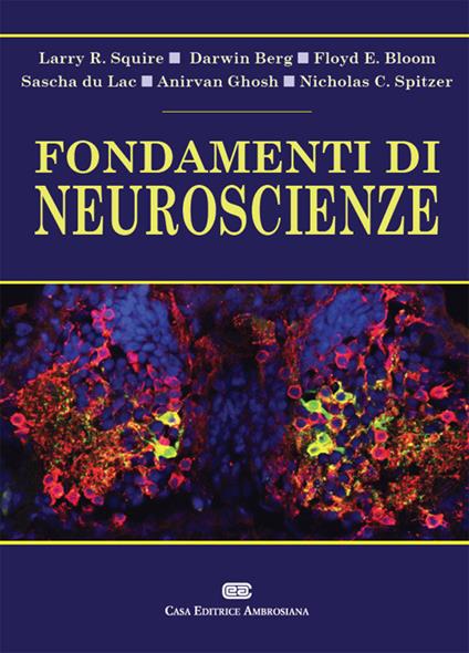 Fondamenti di neuroscienze. Con Contenuto digitale (fornito elettronicamente) - Larry Squire,Darwin Berg,Floyd E. Bloom - copertina