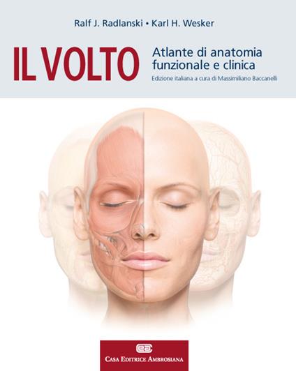 Il volto. Atlante di anatomia funzionale e clinica - Ralf J. Radlanski,Karl H. Wesker - copertina