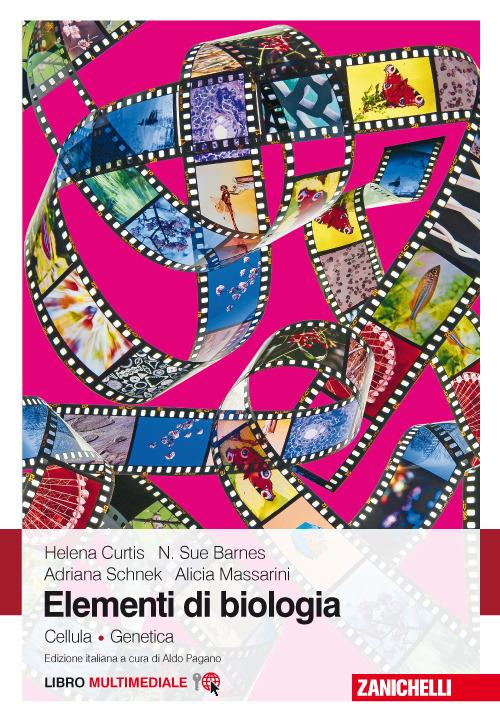 Elementi di biologia. Cellula. Genetica. Con e-book - Helena Curtis,N. Sue Barnes,Adriana Schnek - copertina