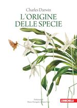 L'origine delle specie