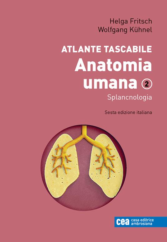 Anatomia umana. Atlante tascabile. Vol. 2: Splancnologia - Helga Fritsch,Wolfgang Kühnel - copertina