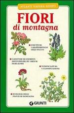 Fiori di montagna