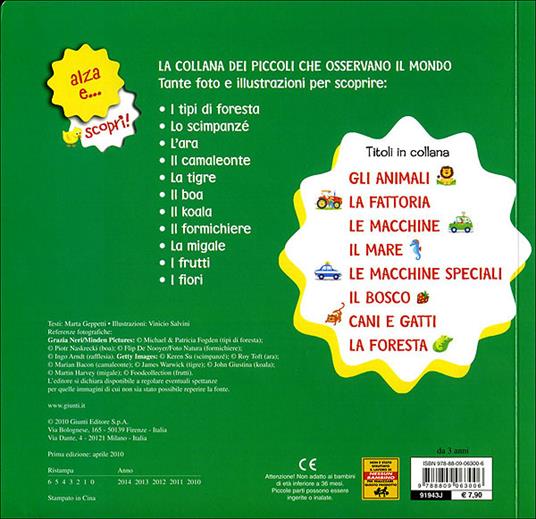 La foresta - Marta Geppetti - 2