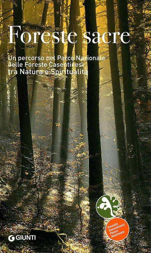 Foreste sacre. Un percorso nel Parco Nazionale delle foreste casentinesi tra natura e spiritualità - Mario Vianelli,Sandro Bassi - copertina