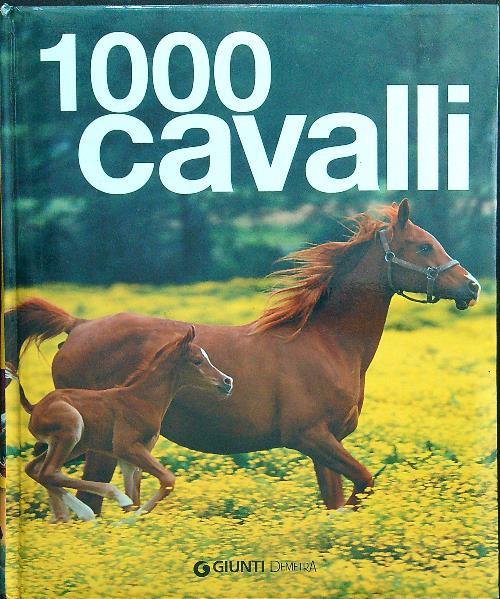 Mille cavalli. Ediz. illustrata