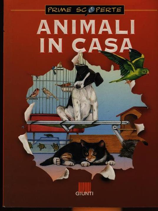 Animali in casa - Giusi Quarenghi,Tullia Colombo - copertina